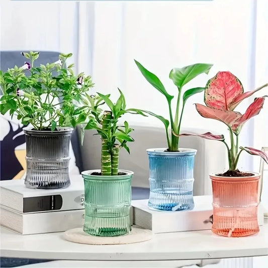 Self Watering Planter – Transparent Double Layer Hydroponic Flower Pot for Home & Office Plants