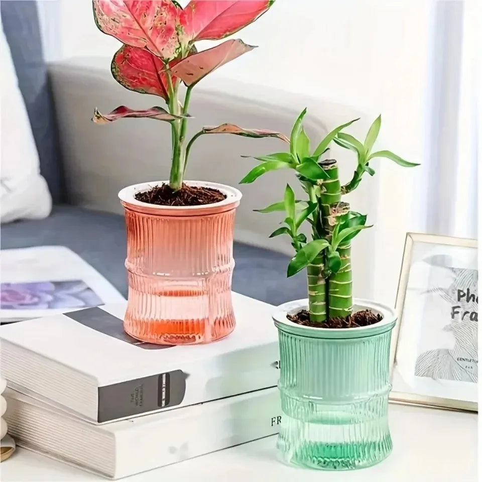 Self Watering Planter – Transparent Double Layer Hydroponic Flower Pot for Home & Office Plants