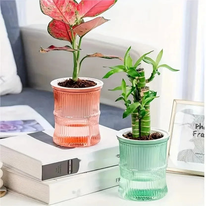 Self Watering Planter – Transparent Double Layer Hydroponic Flower Pot for Home & Office Plants