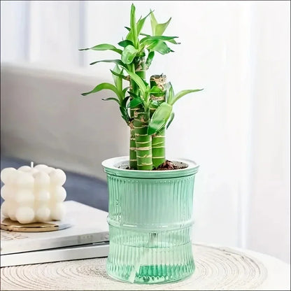 Self Watering Planter – Transparent Double Layer Hydroponic Flower Pot for Home & Office Plants
