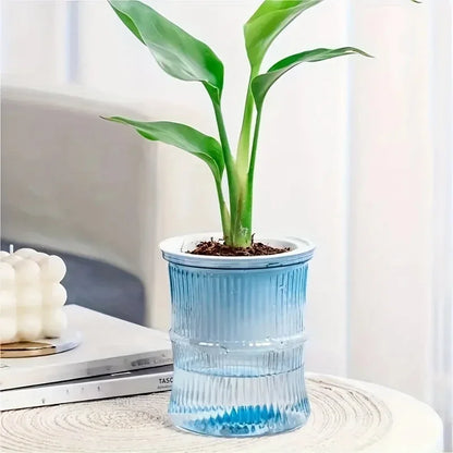 Self Watering Planter – Transparent Double Layer Hydroponic Flower Pot for Home & Office Plants