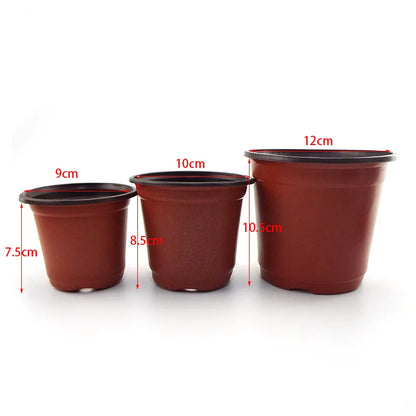Plastic Grow Box Tray – Fall-Resistant Nursery Transplant Pot with Bottom Drainage