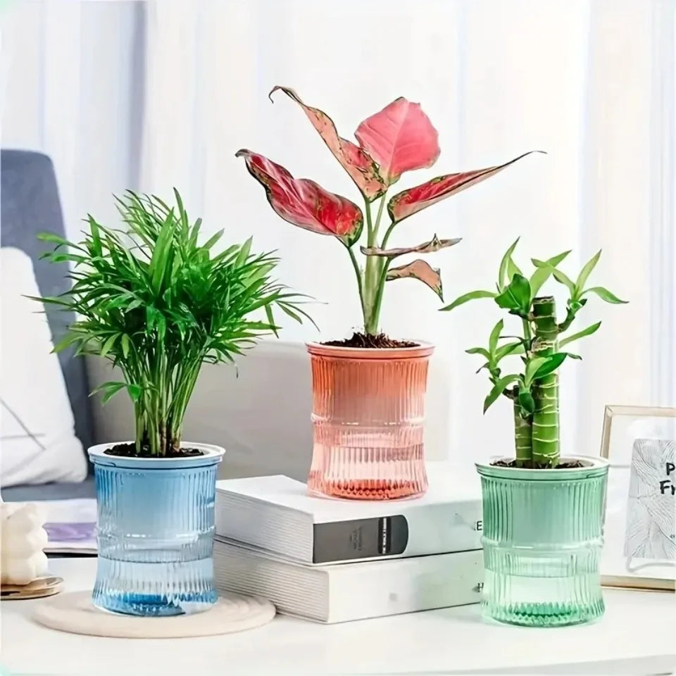 Self Watering Planter – Transparent Double Layer Hydroponic Flower Pot for Home & Office Plants