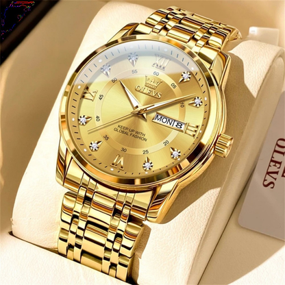 SteelClassic™ Roman Men’s Quartz Watch